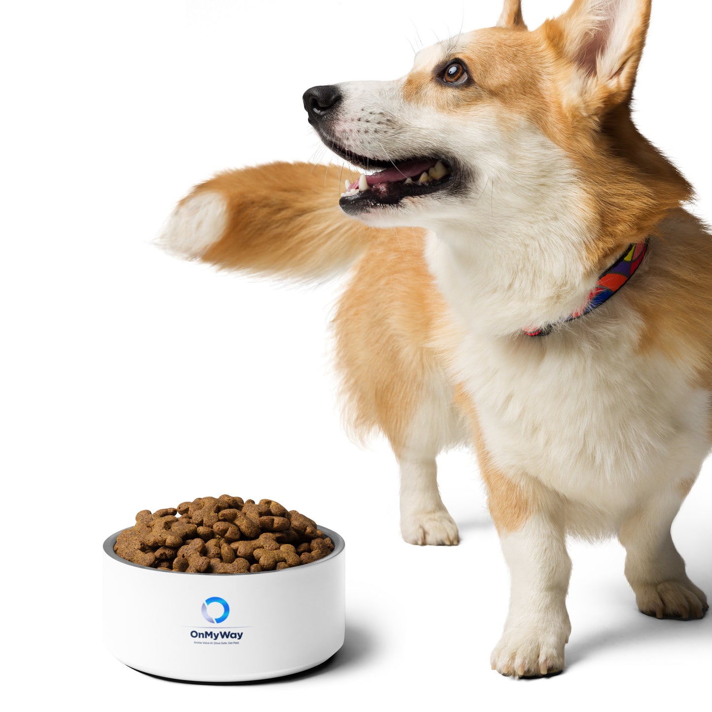 OnMyWay Pet bowl