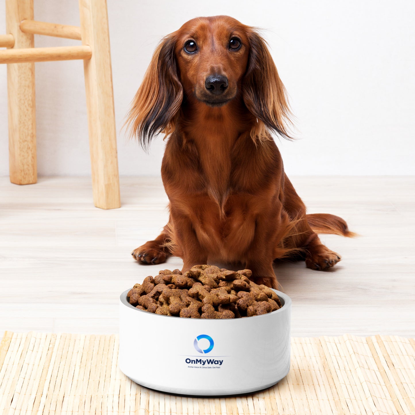 OnMyWay Pet bowl